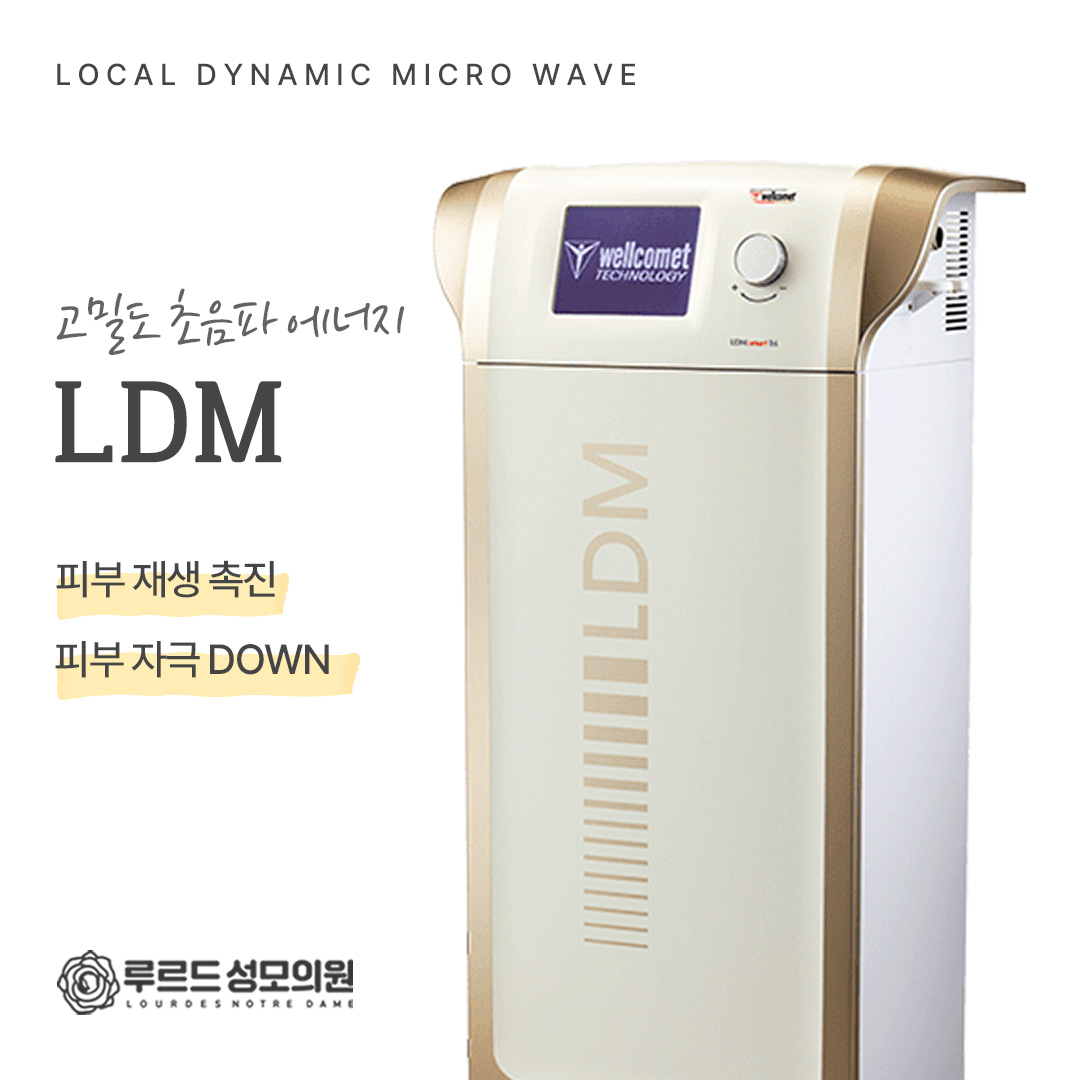 LDM